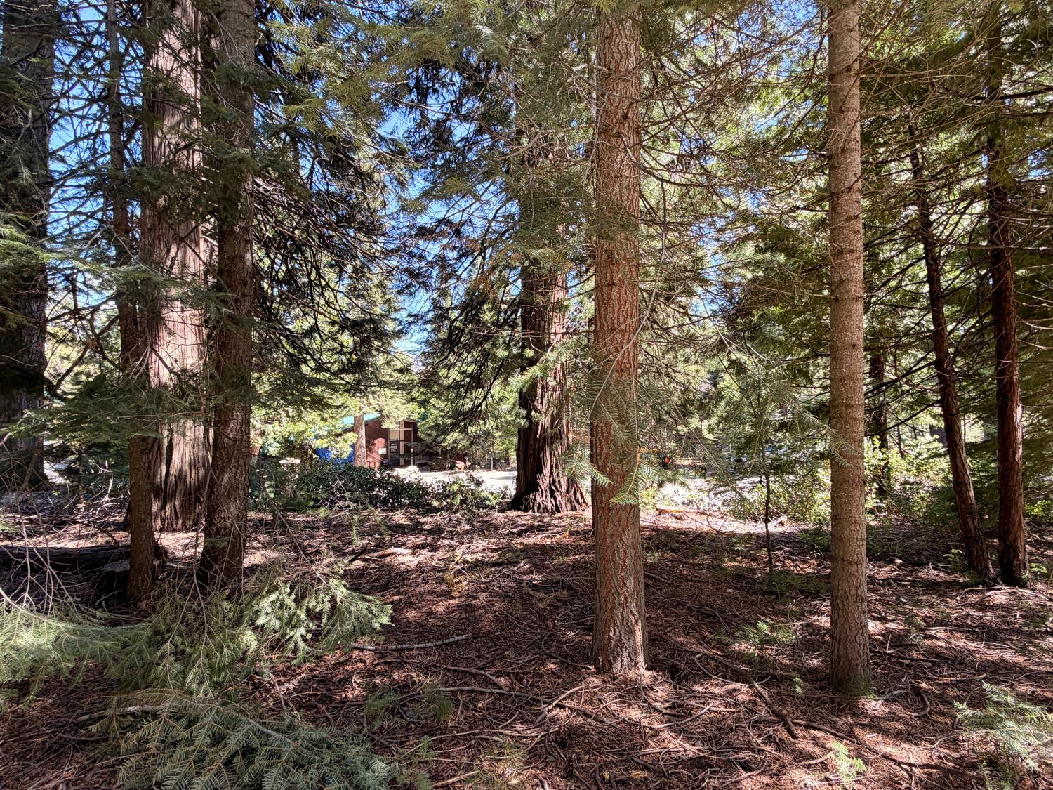 Vacant Lot in Fish Camp - photo 2