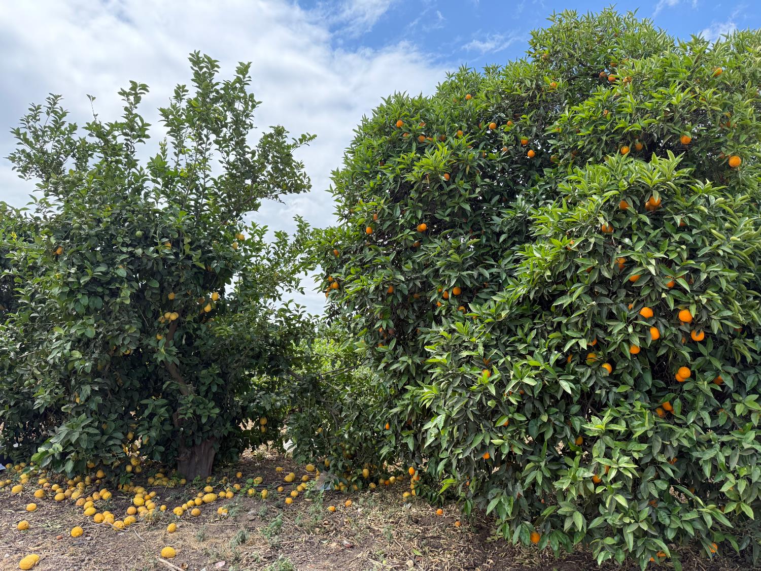 Photo 30