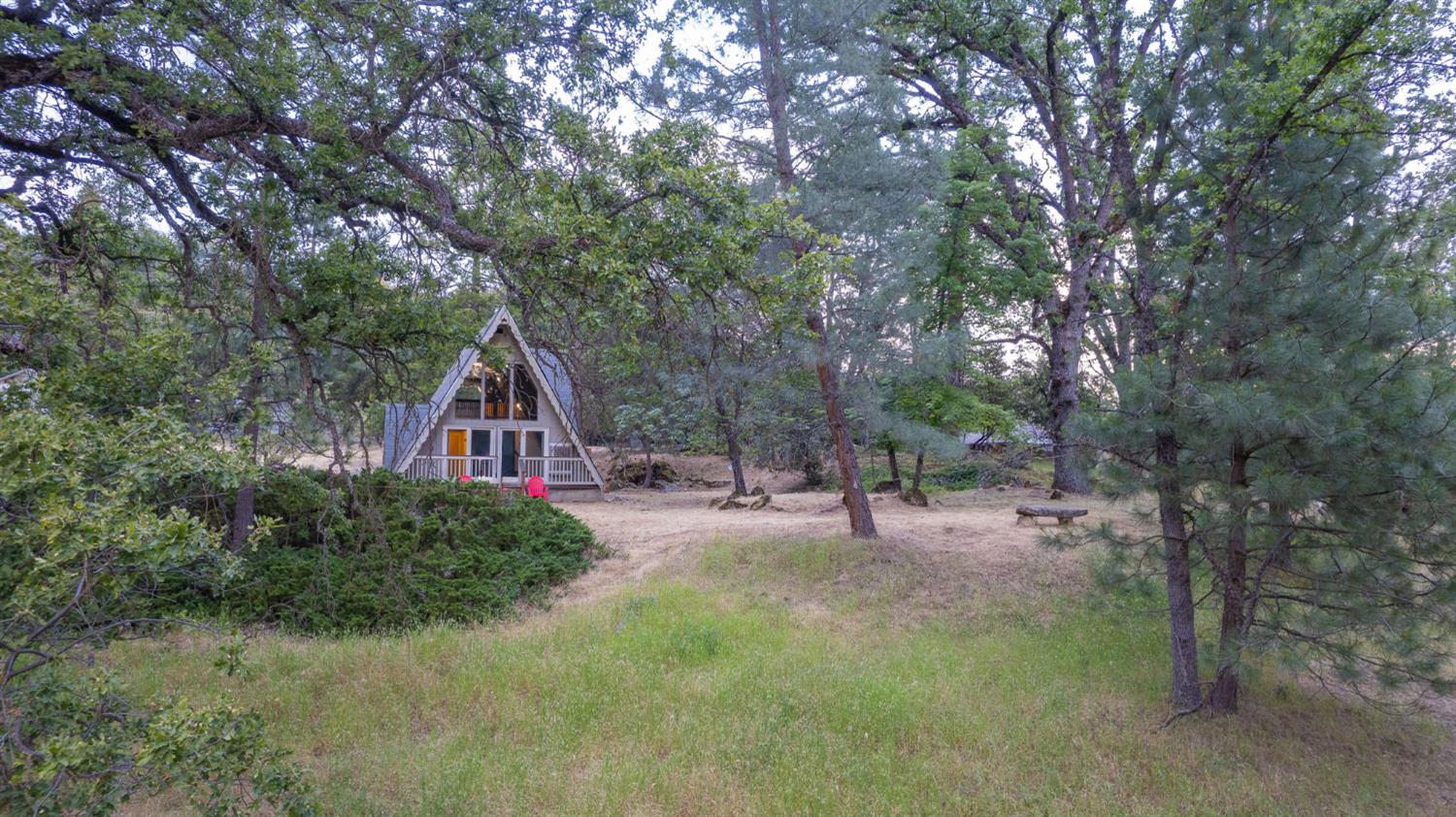 Photo 46