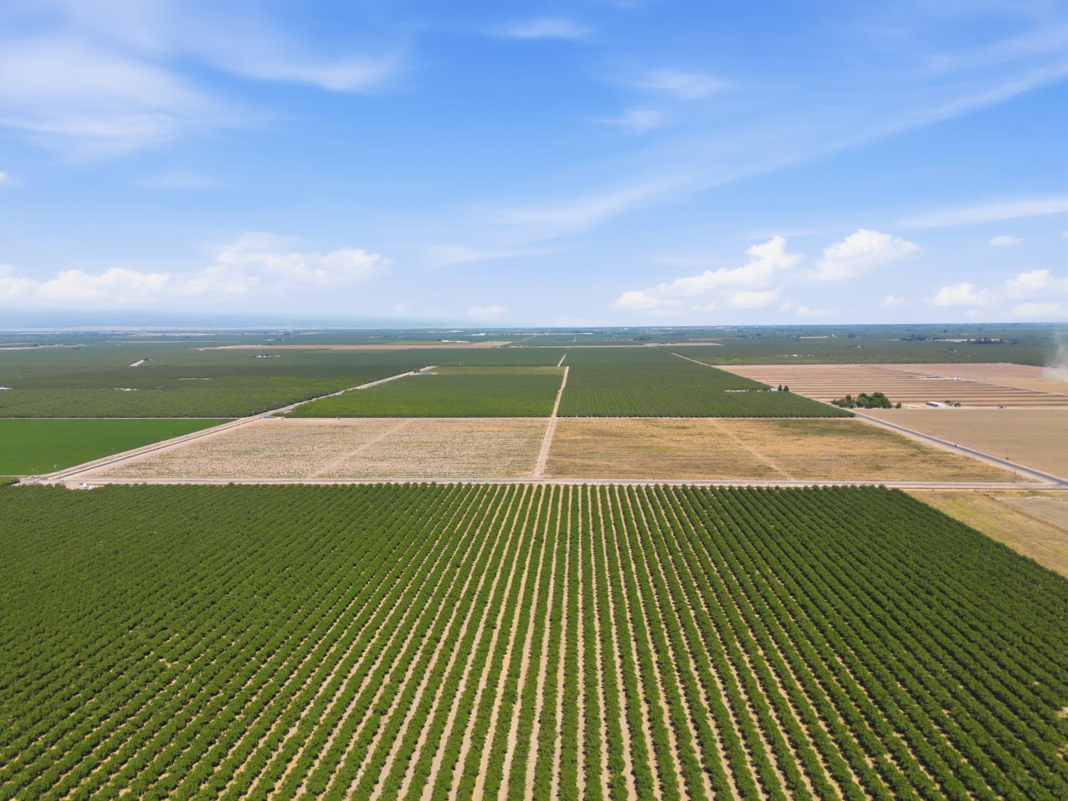 CHOWCHILLA