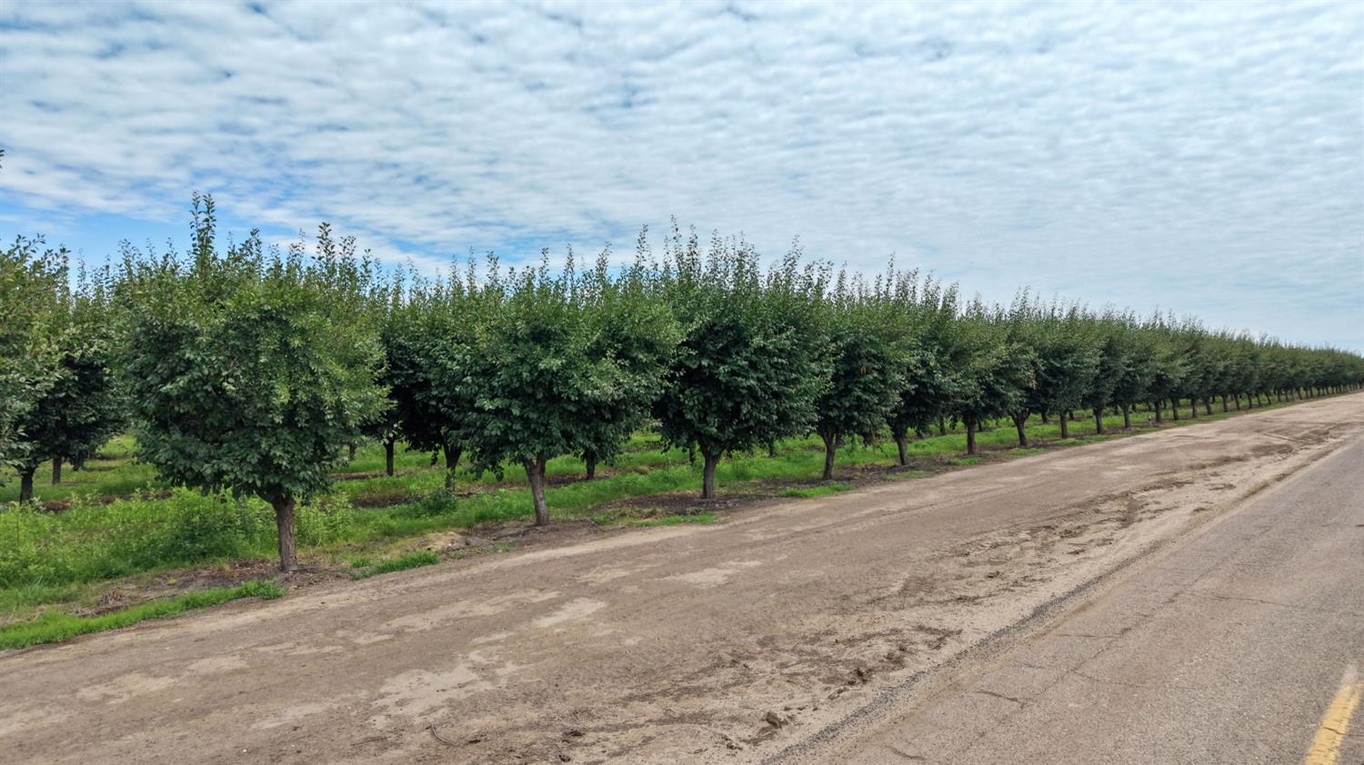 Farm in Madera