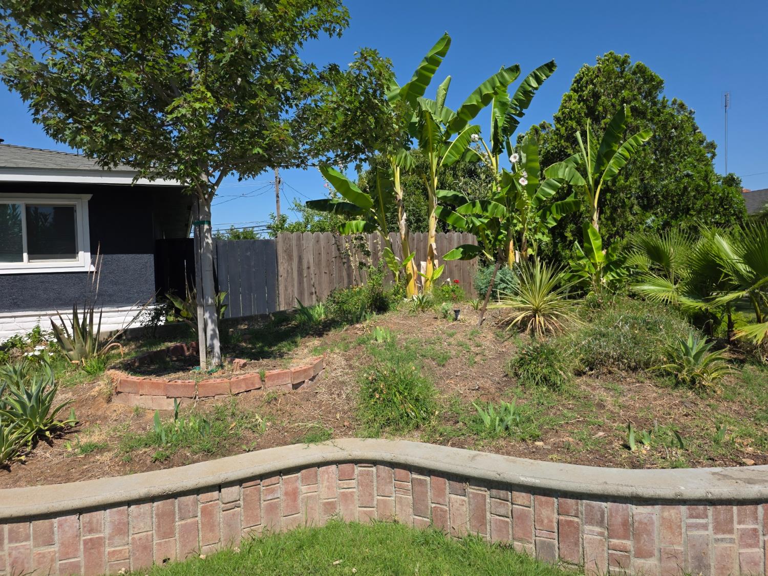 Single Family in Fresno - photo 3