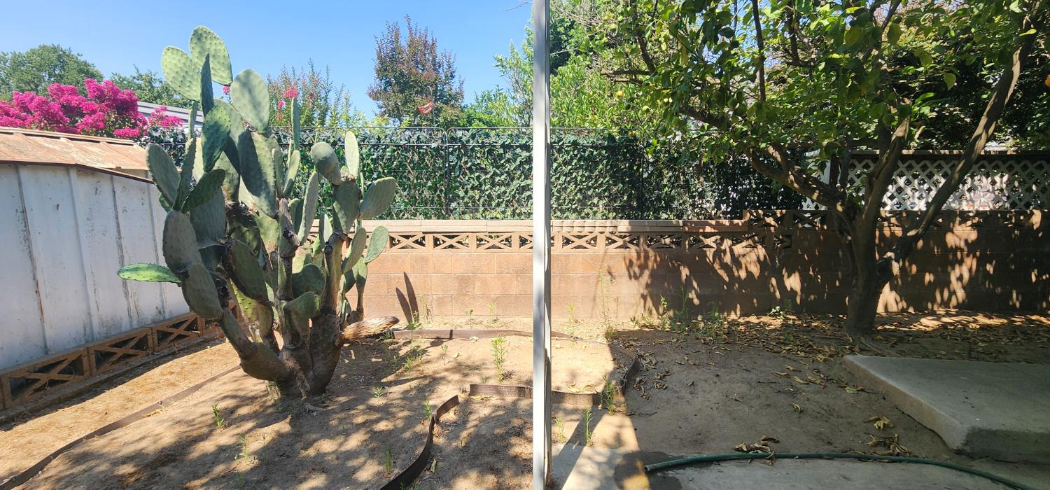 Photo 41
