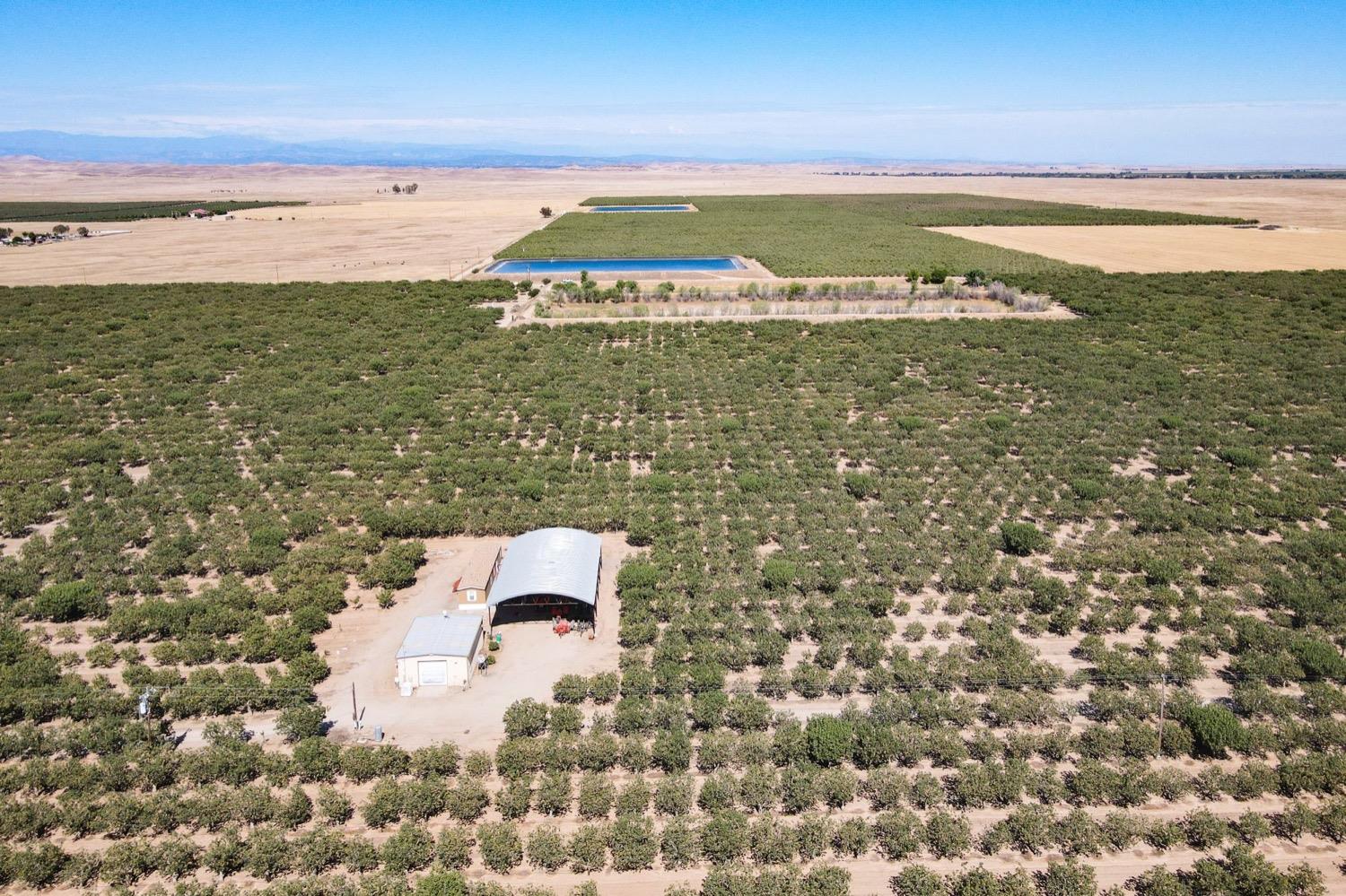 Farm in Legrand - photo 2