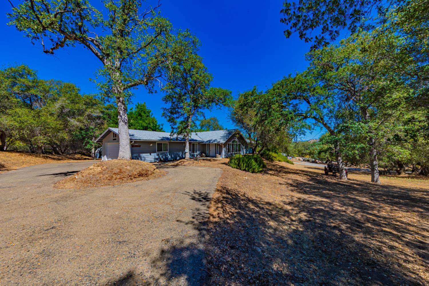 Featured listings