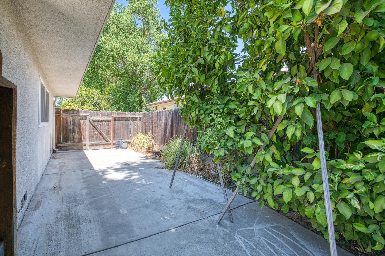 1685 W San Ramon Avenue