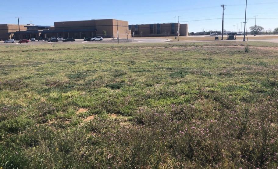 Location, Location, Location!!! This lot is located in the heart of Wolfforth! Can you say lots of traffic!! Priced under $9.00 per sq ft! ALL Utilites are on the property: city water and sewer, electricity and cable! It's ready for any business! This lot is 195.87 deep x 123 ft wide.