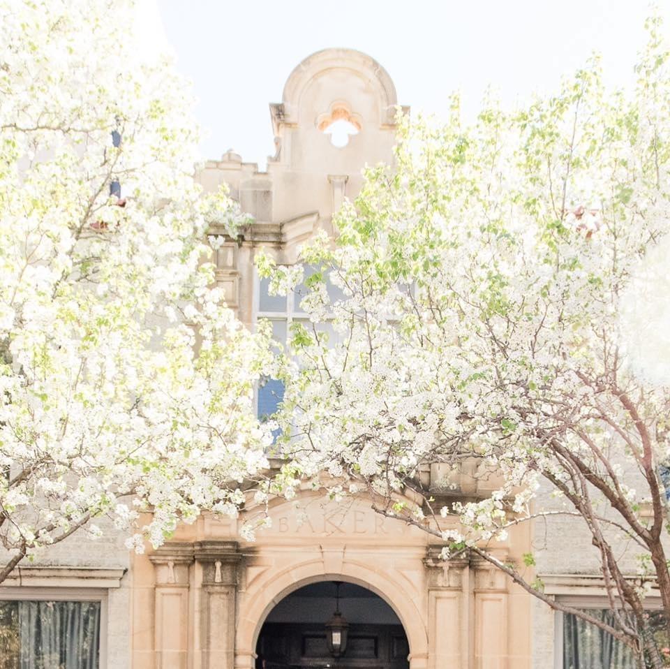 The beautiful Baker building has hosted many special events over the years, from weddings to celebrations of all kind. The history and craftsmanship are evident in the details throughout the building. Contact the listing agent today to see it in person.