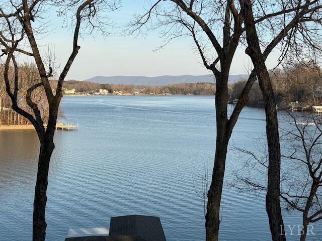 311 Morningwood Lane, Wirtz, VA waterfront home for sale at Smith Mountain Lake