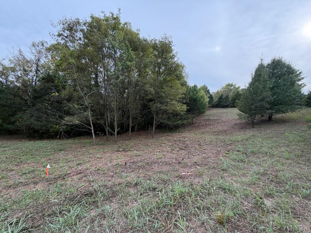 Moneta Road