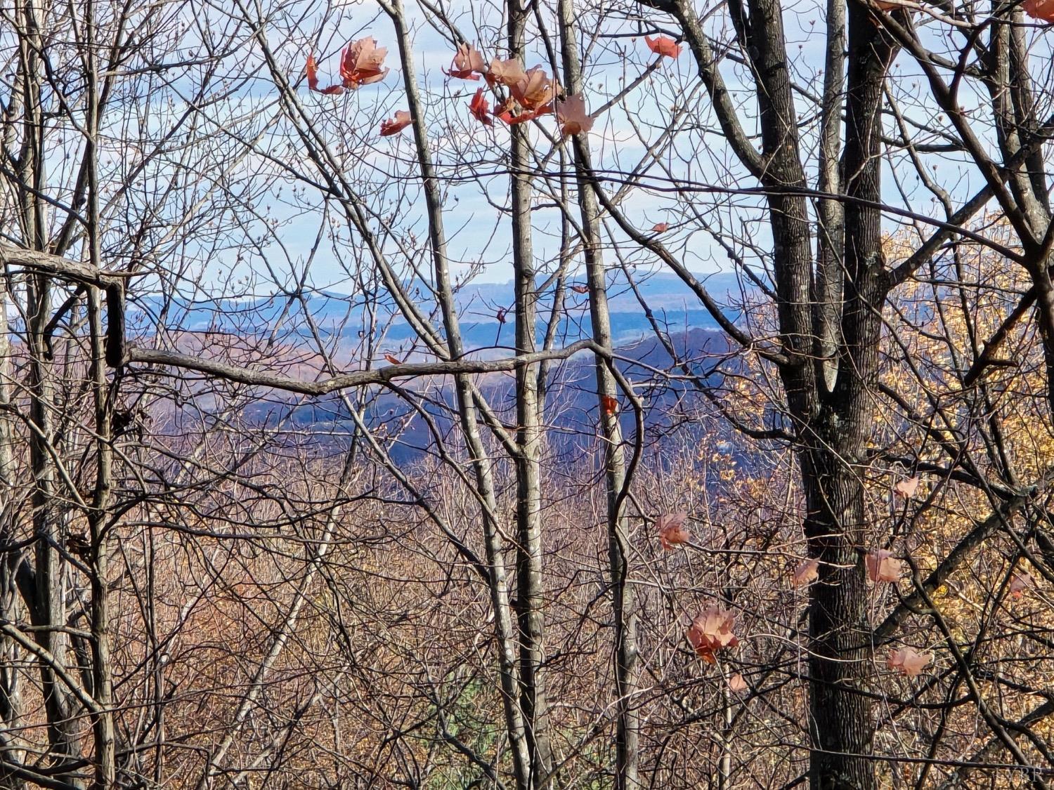 Taylor Mountain Road