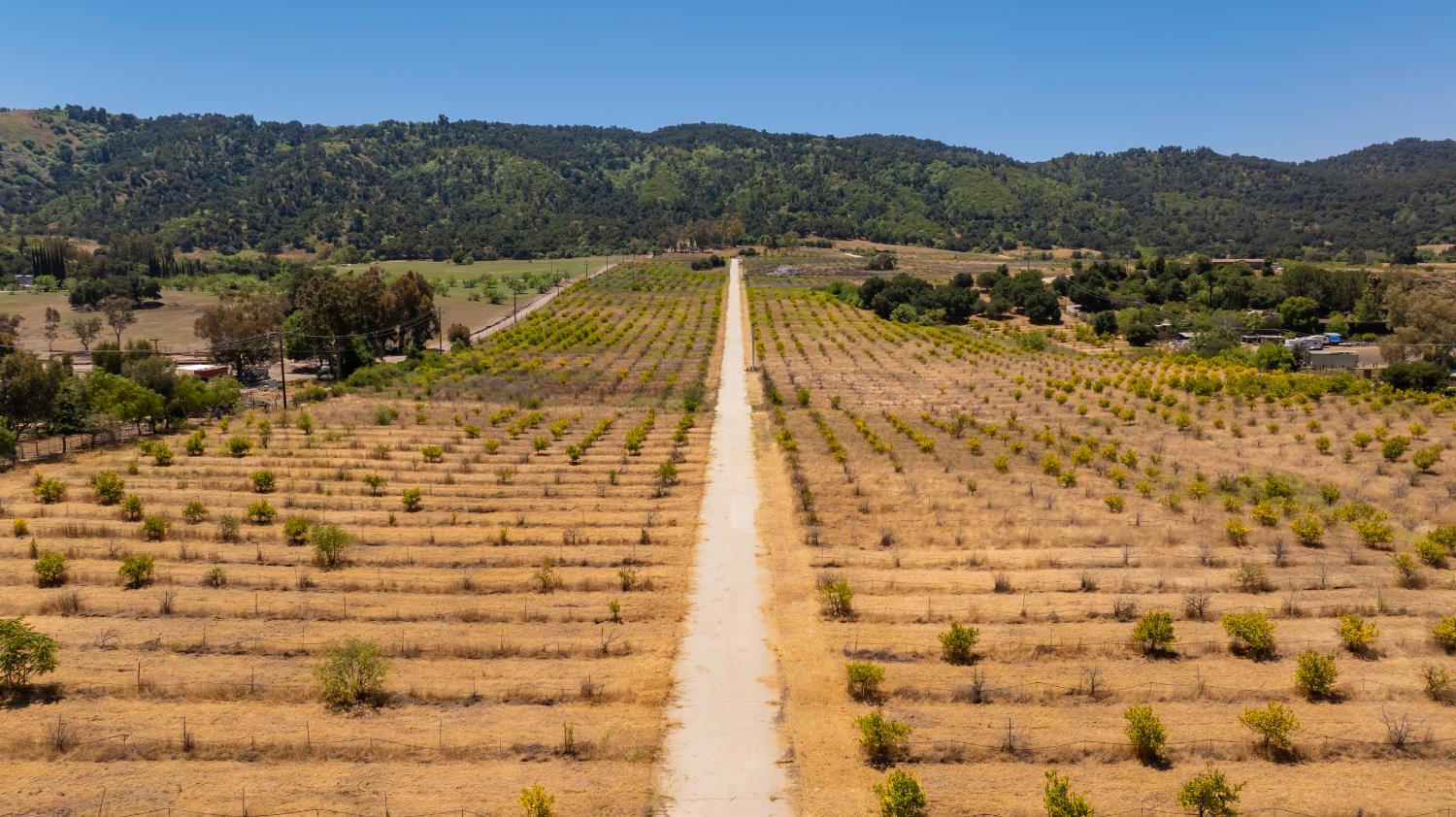 12400 Ojai Santa Paula Road - Property photo