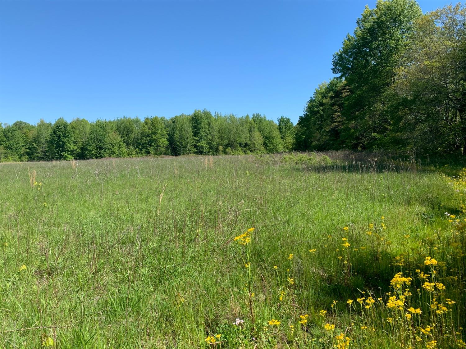 Woolum Real Estate Southeastern Indiana Real Estate