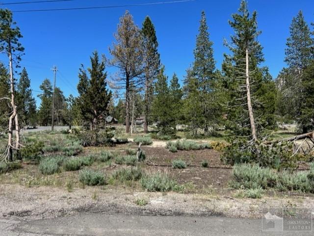 2263 Blitzen Road