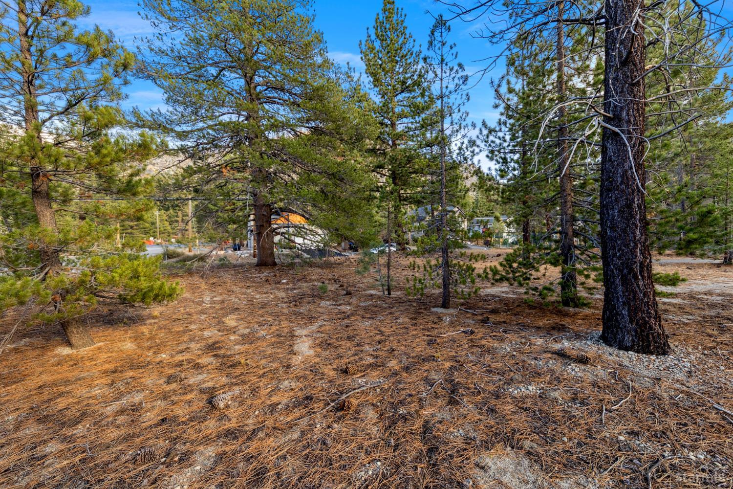 972 Shakori Drive