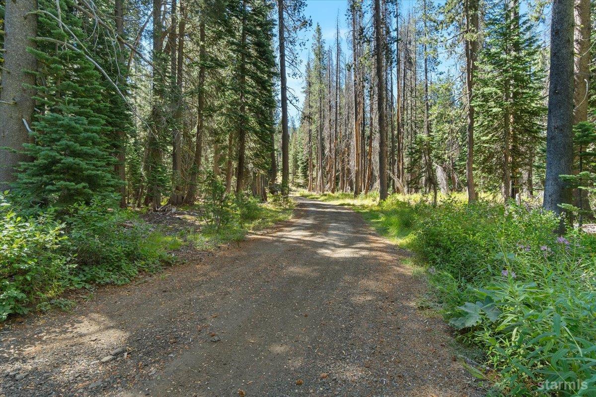 20414 US Highway 50