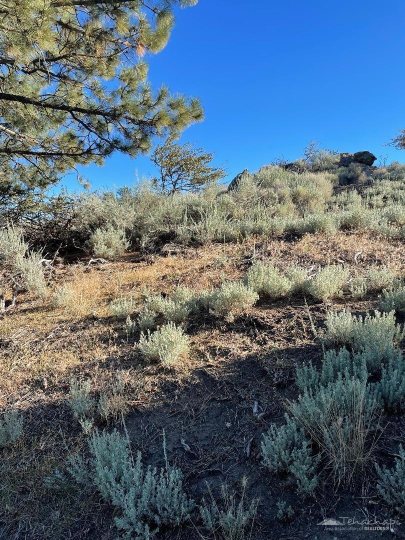 Stirrup Way, Tehachapi