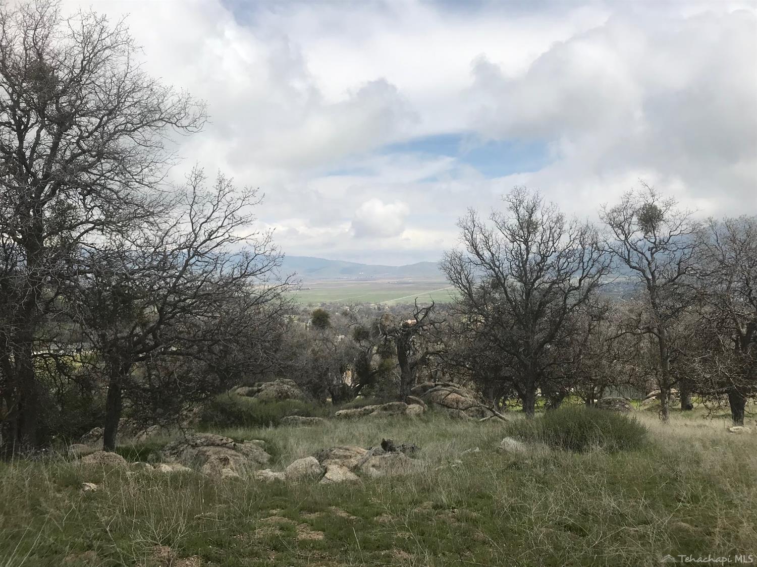 San Joaquin Drive Lot 23, Tehachapi