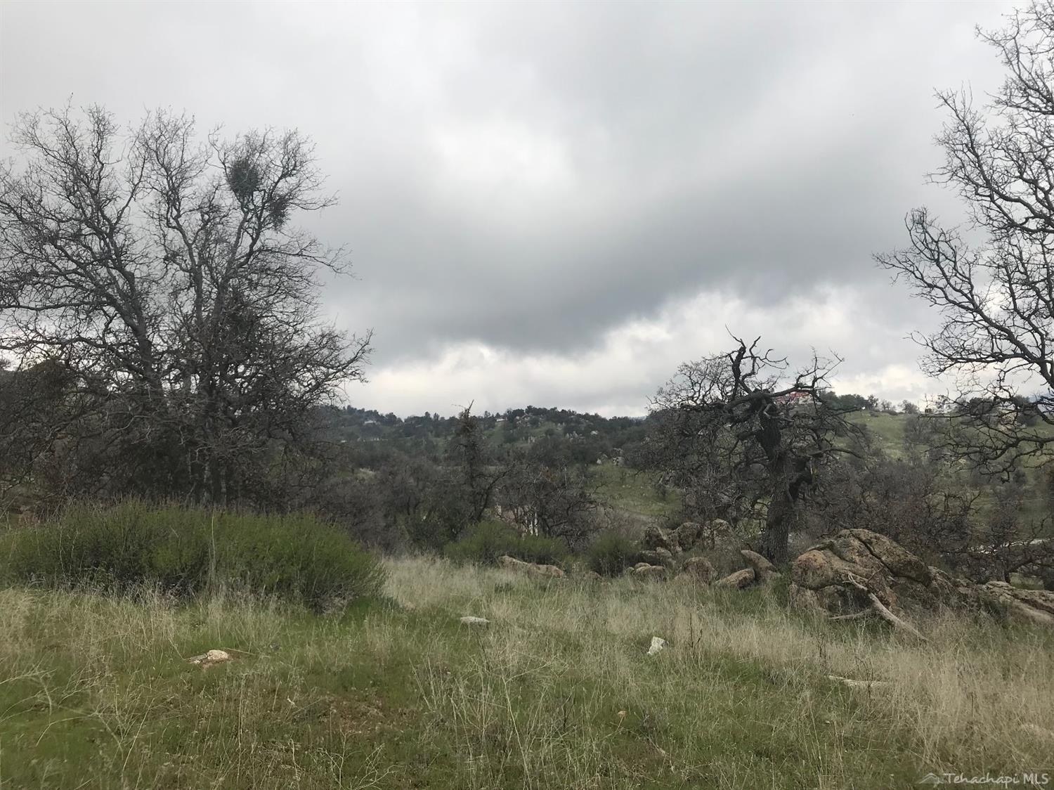 San Joaquin Drive Lot 23 photo 2