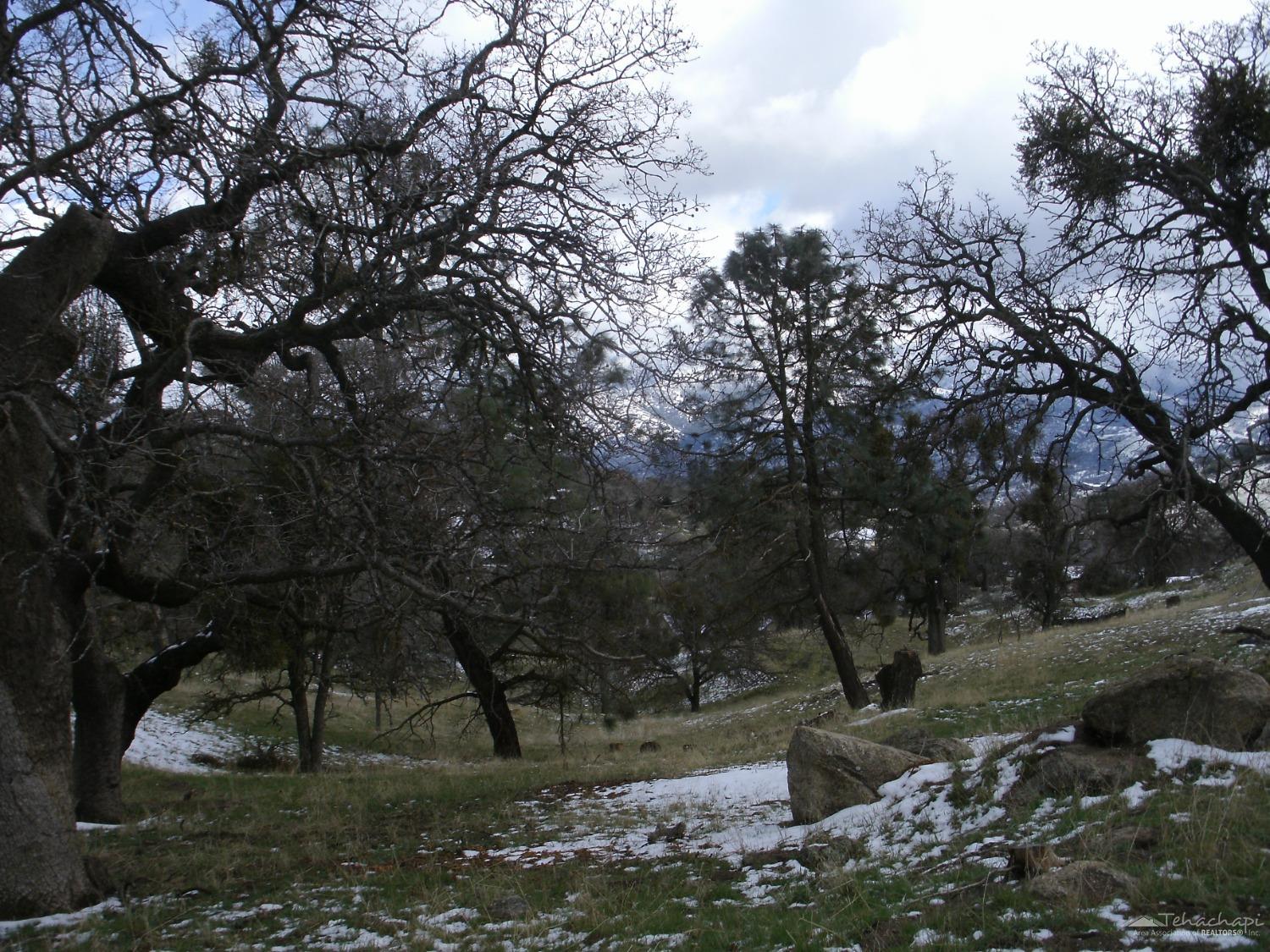 Quail Drive photo 7