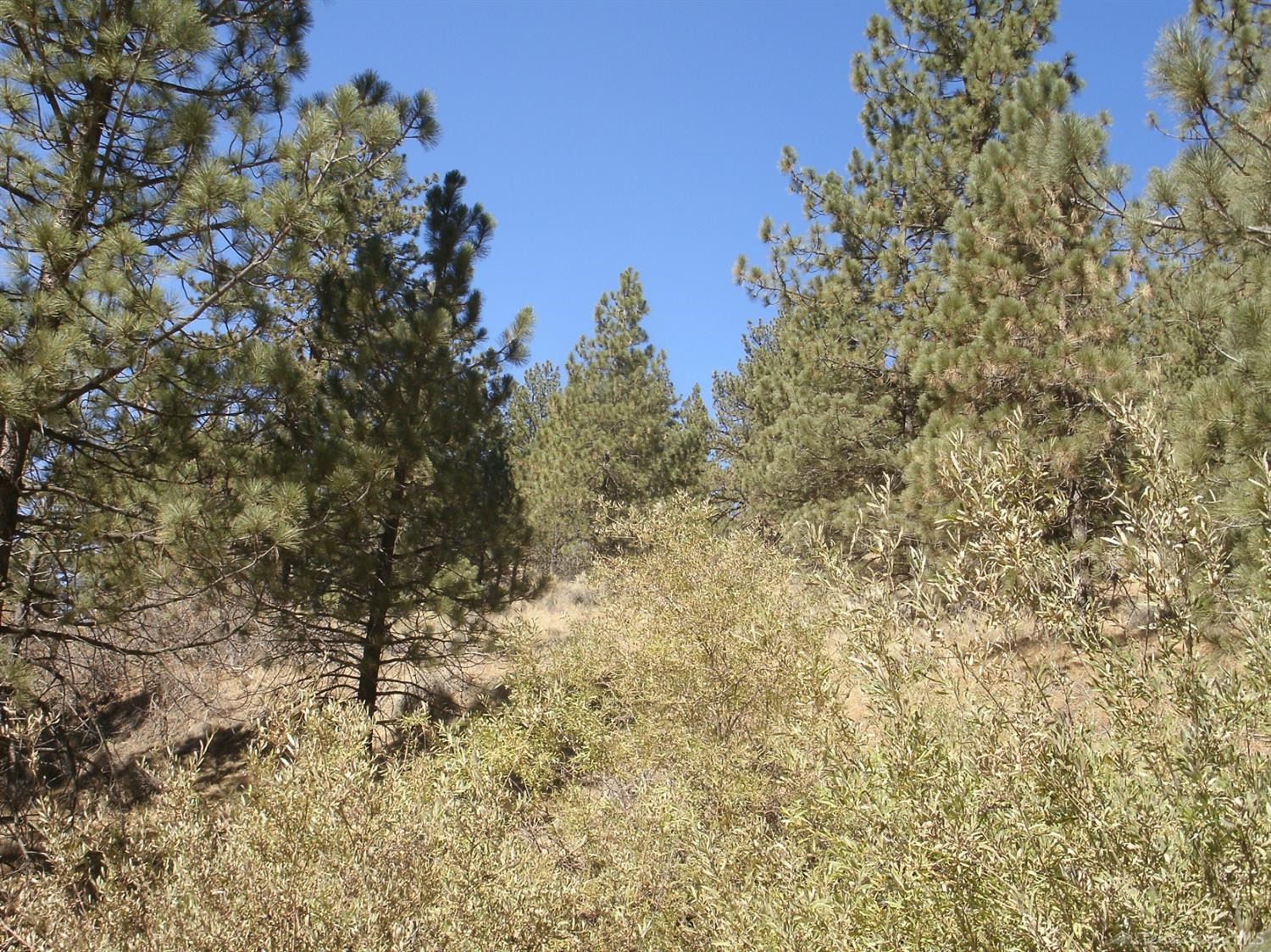 Matterhorn Drive photo 4