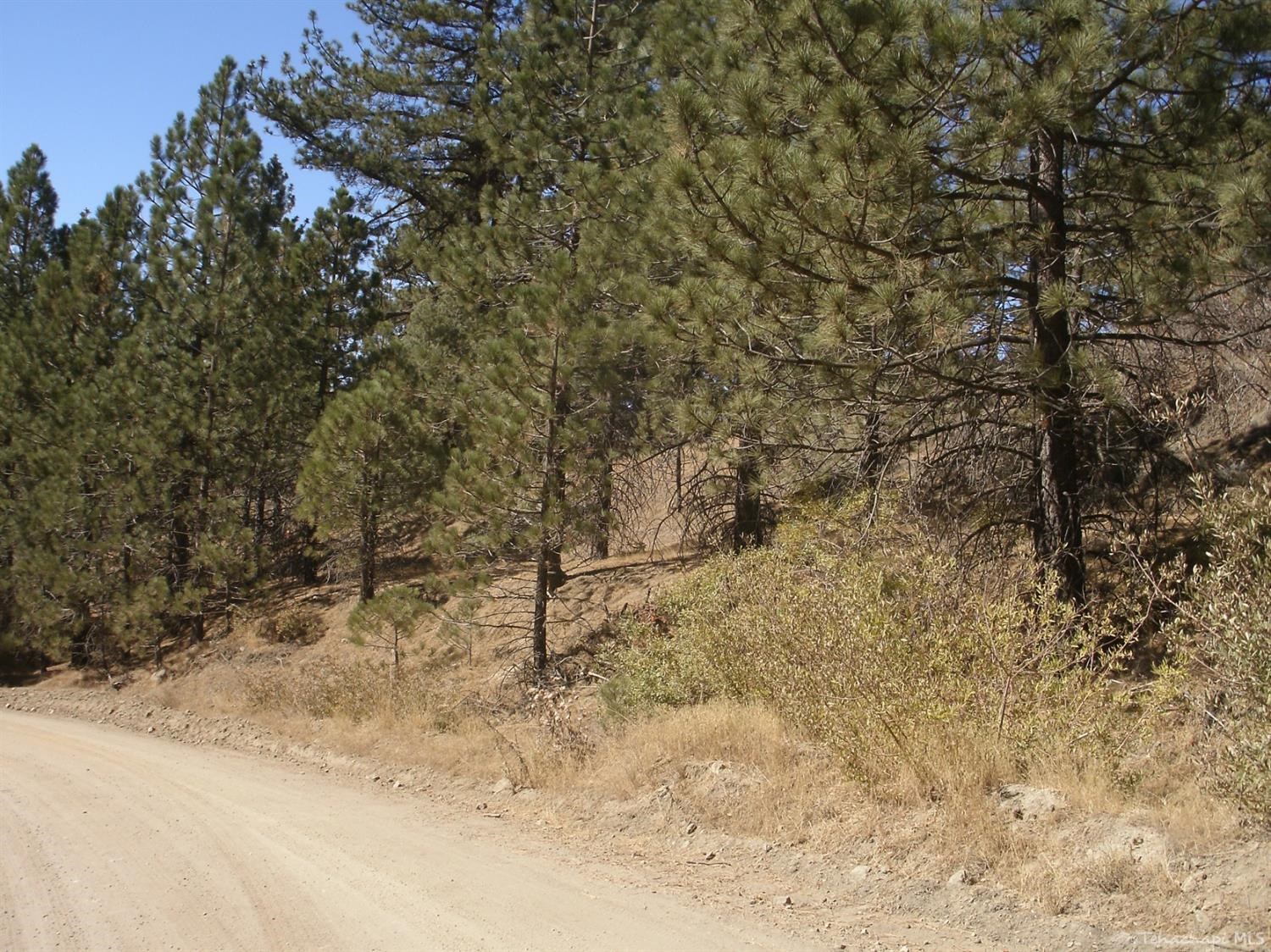 Matterhorn Drive photo 7