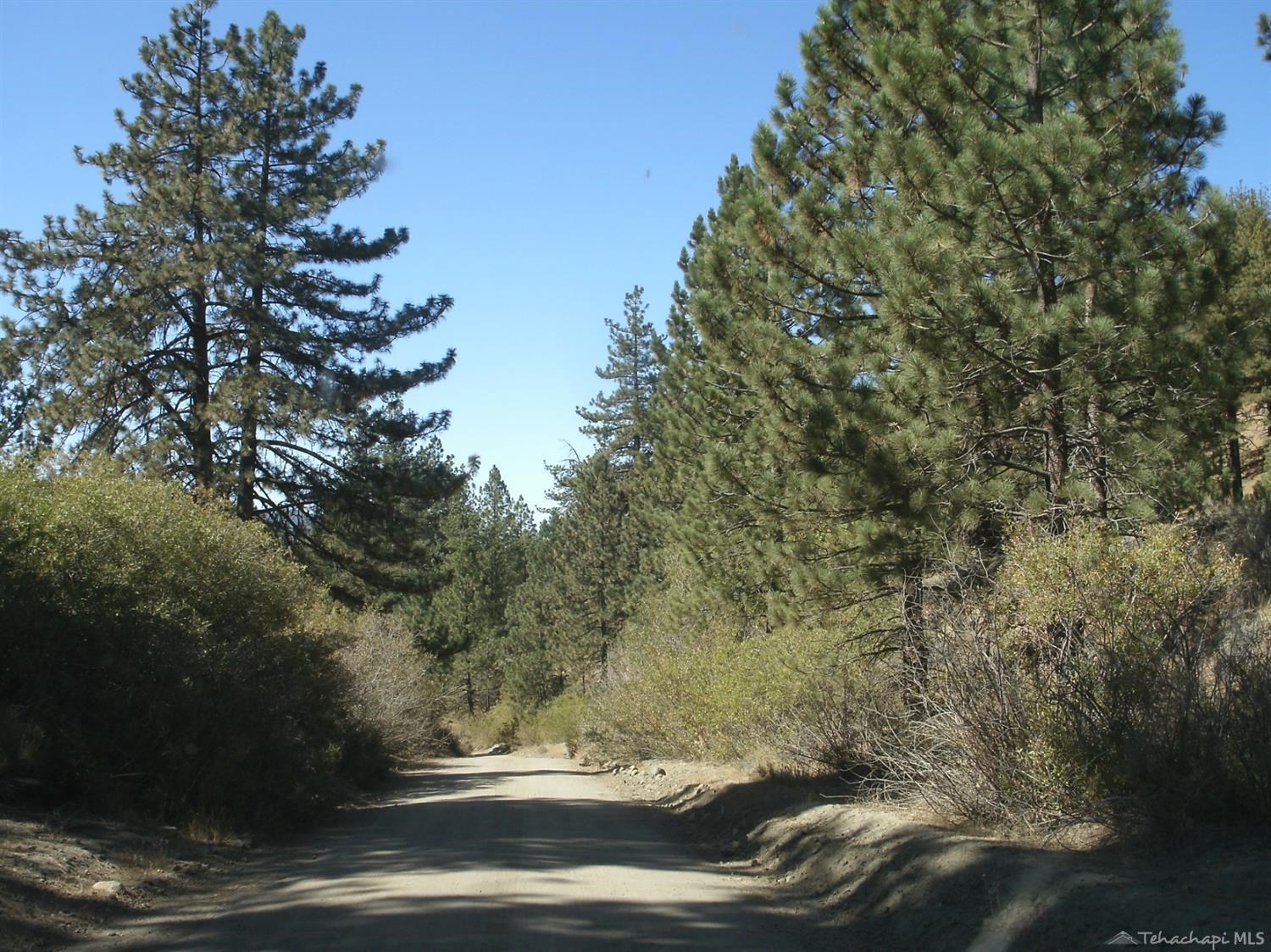 Matterhorn Drive photo 8