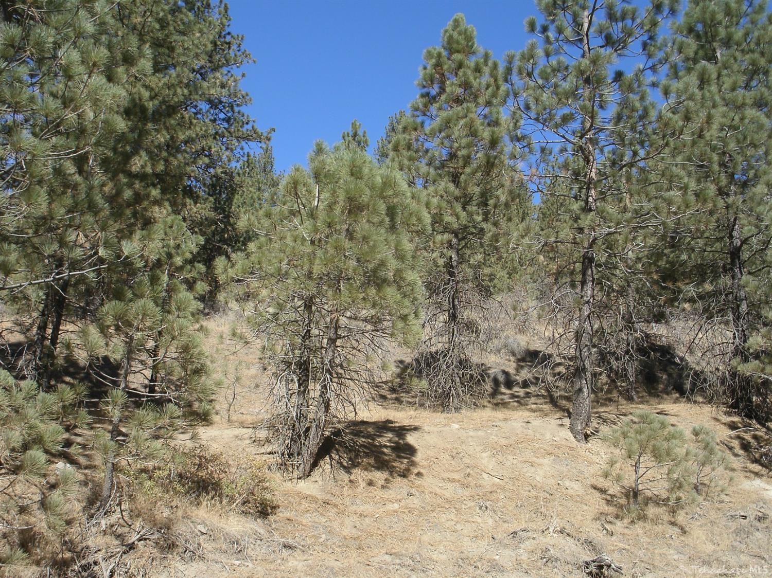 Matterhorn Drive photo 3