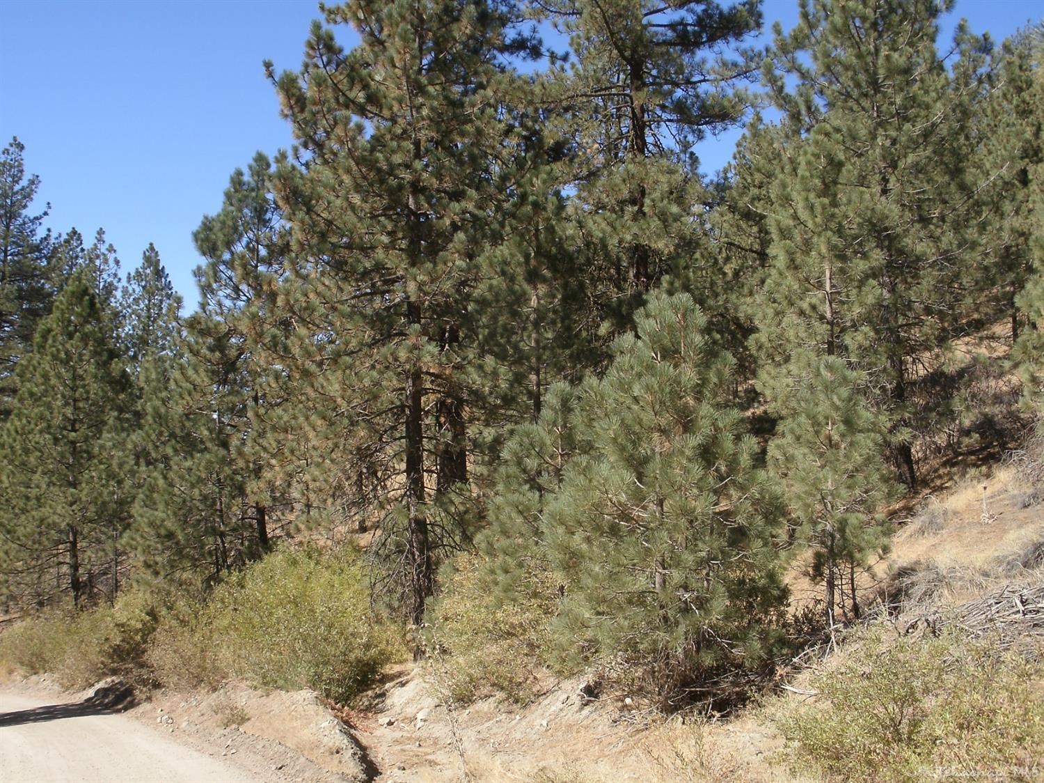 Matterhorn Drive photo 6