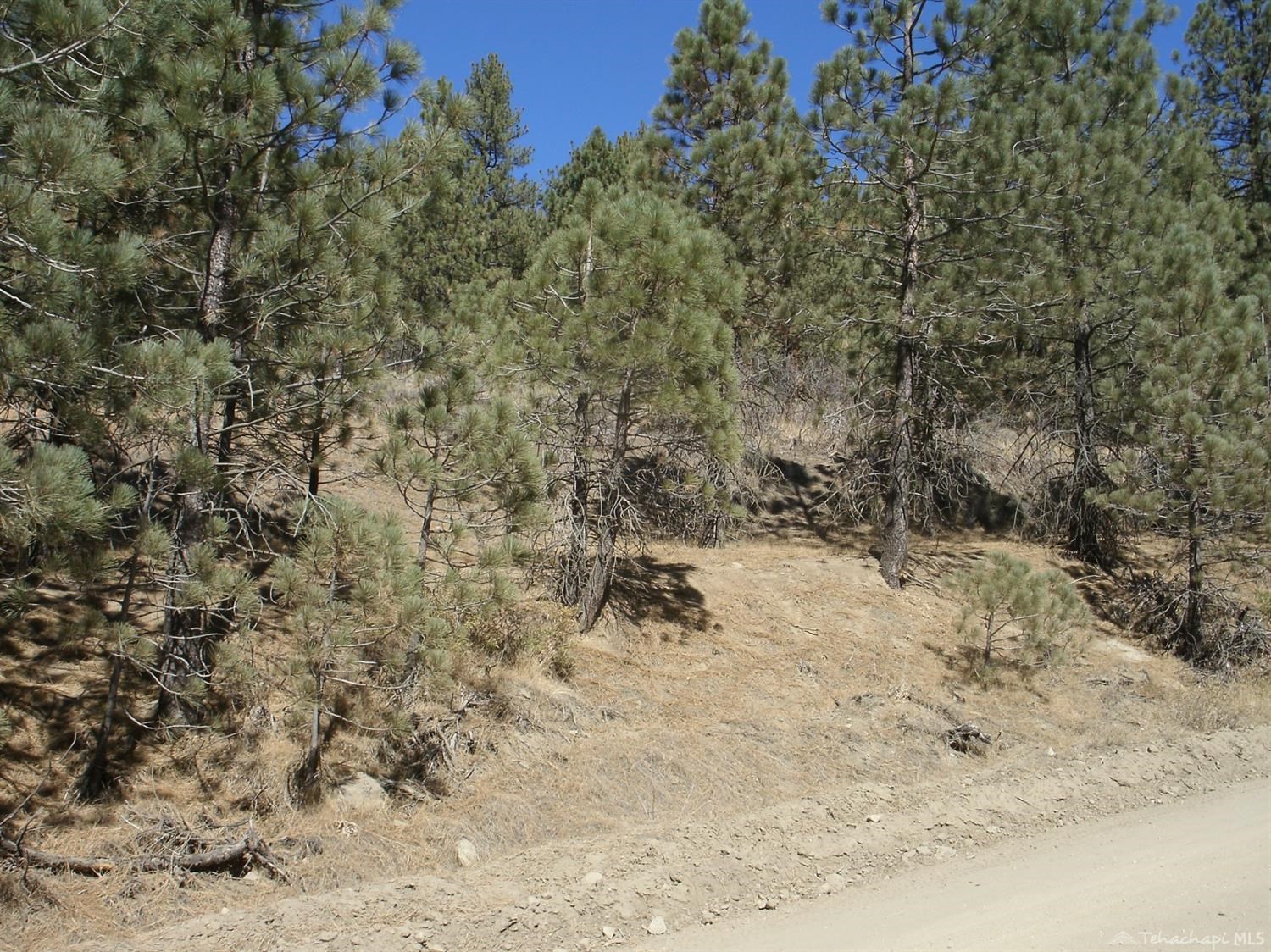 Matterhorn Drive photo 2