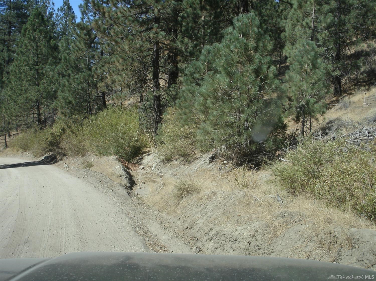 Matterhorn Drive photo 5