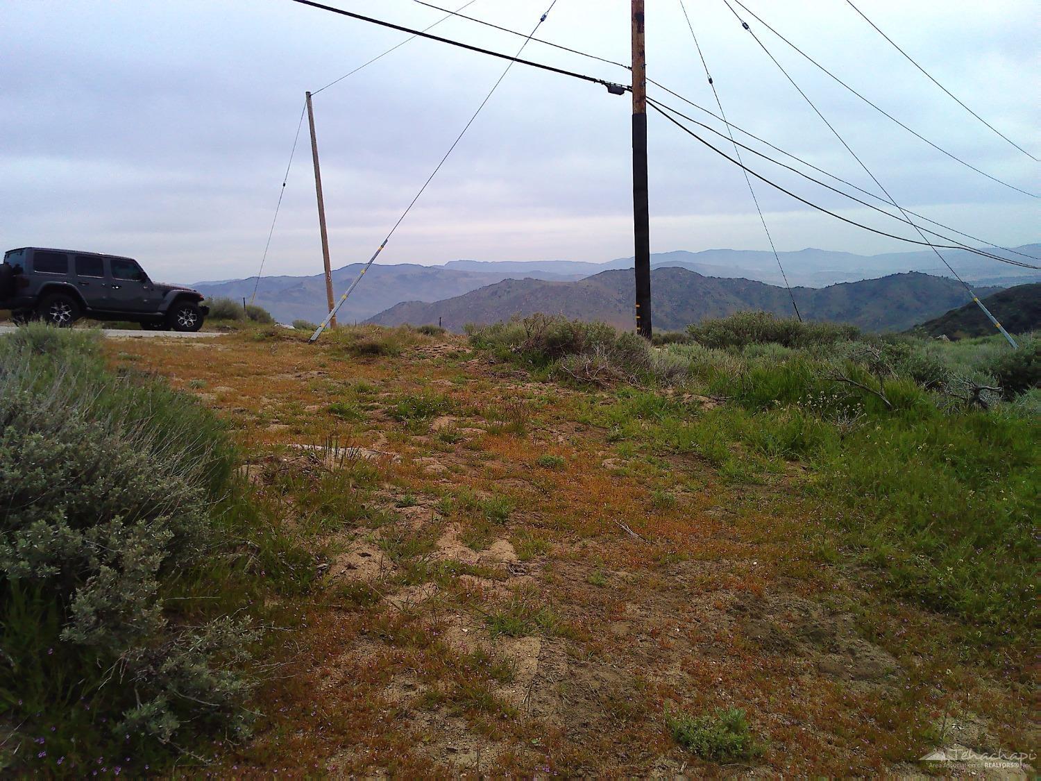 El Rancho Drive photo 7