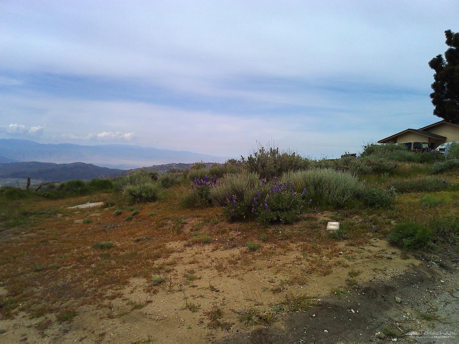 El Rancho Drive photo 2