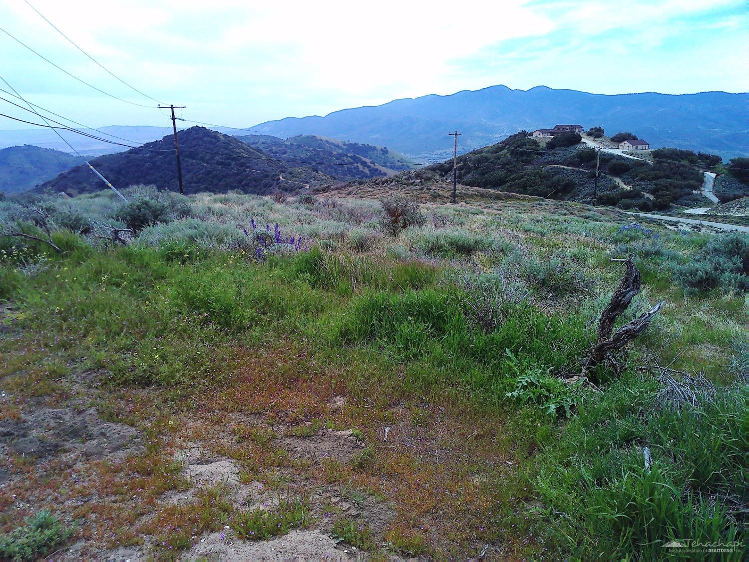 El Rancho Drive photo 6
