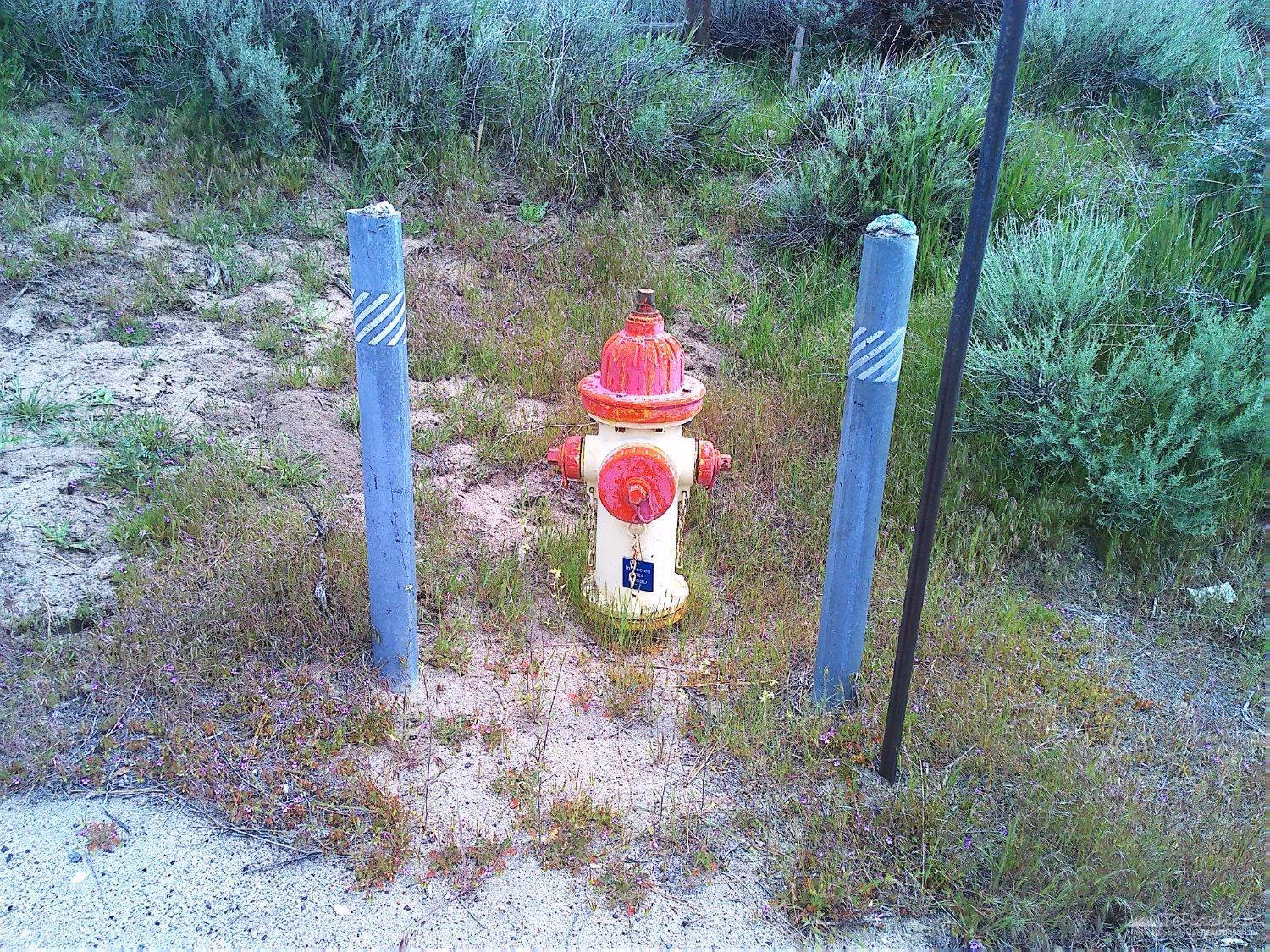El Rancho Drive photo 8