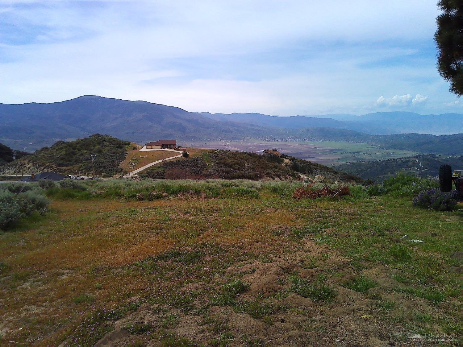 El Rancho Drive photo 9