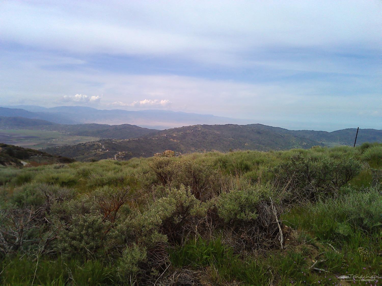 El Rancho Drive photo 4