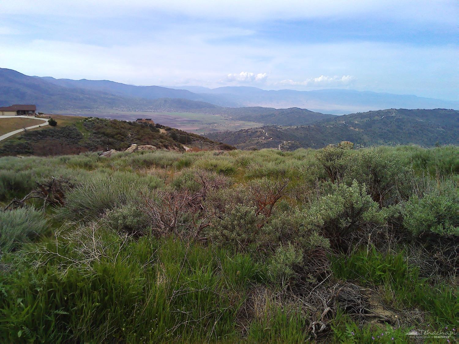 El Rancho Drive photo 5