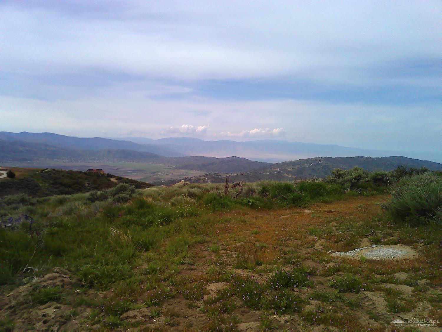 El Rancho Drive photo 3