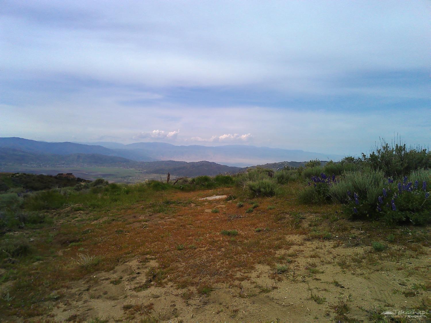 El Rancho Drive, Bear Valley Springs