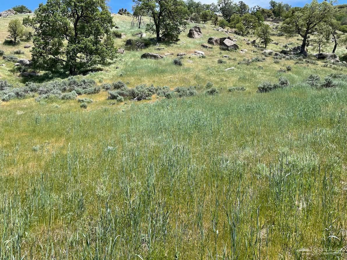 0 Big Sky, Tehachapi