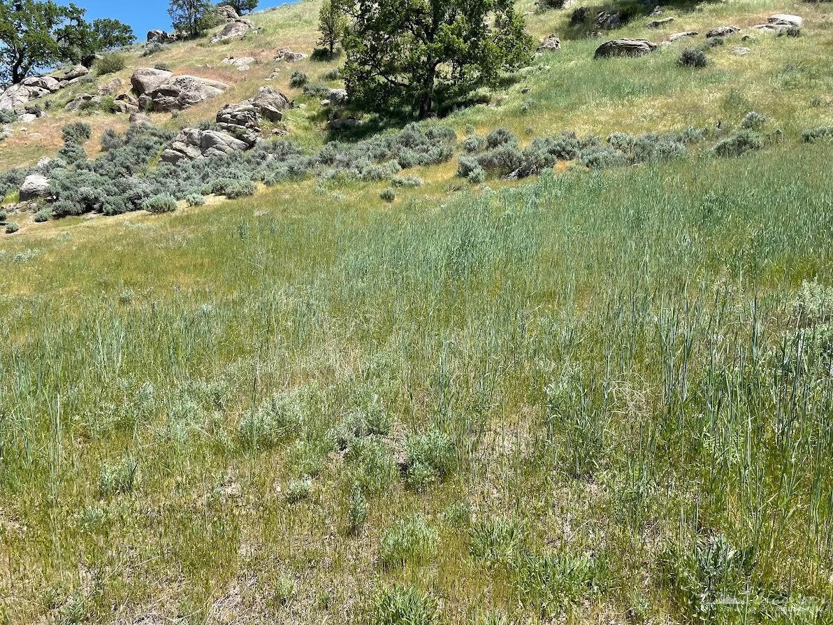 0 Big Sky photo 4