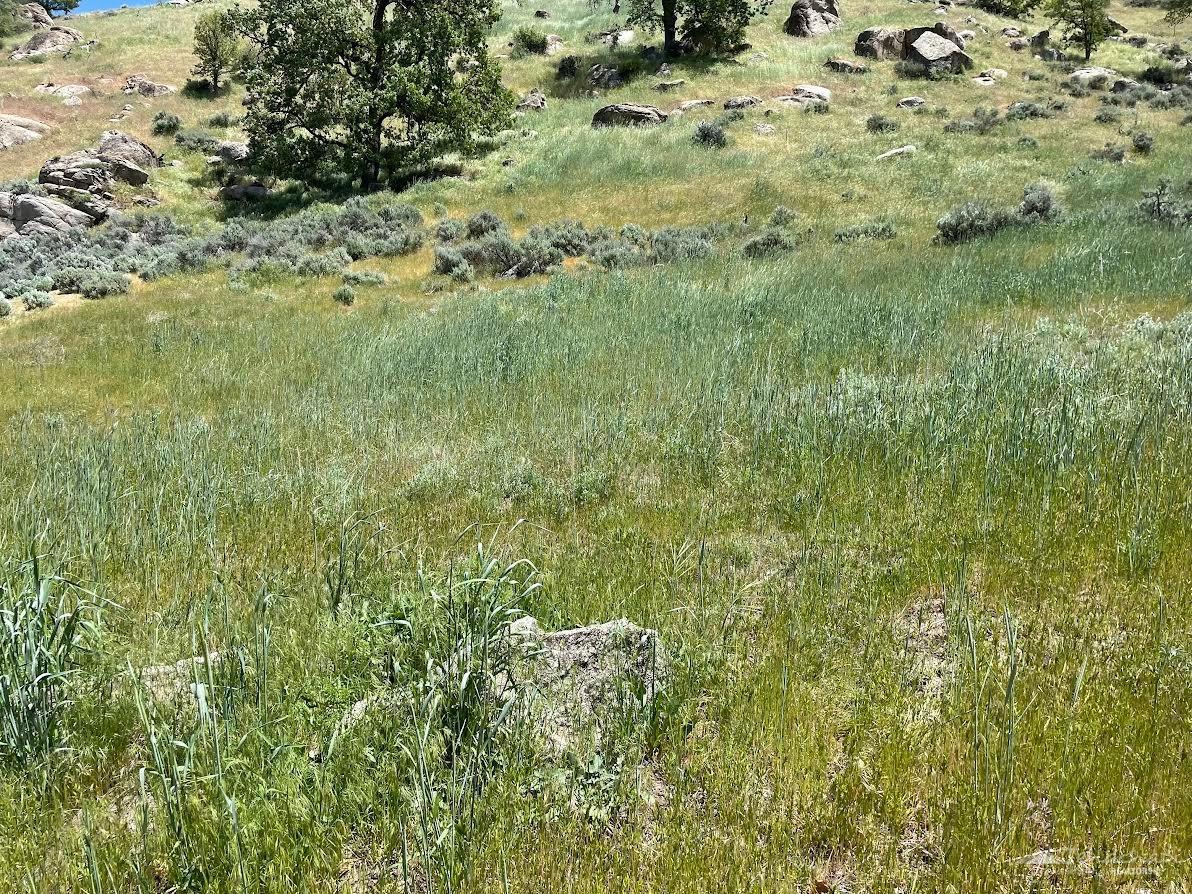 0 Big Sky photo 2