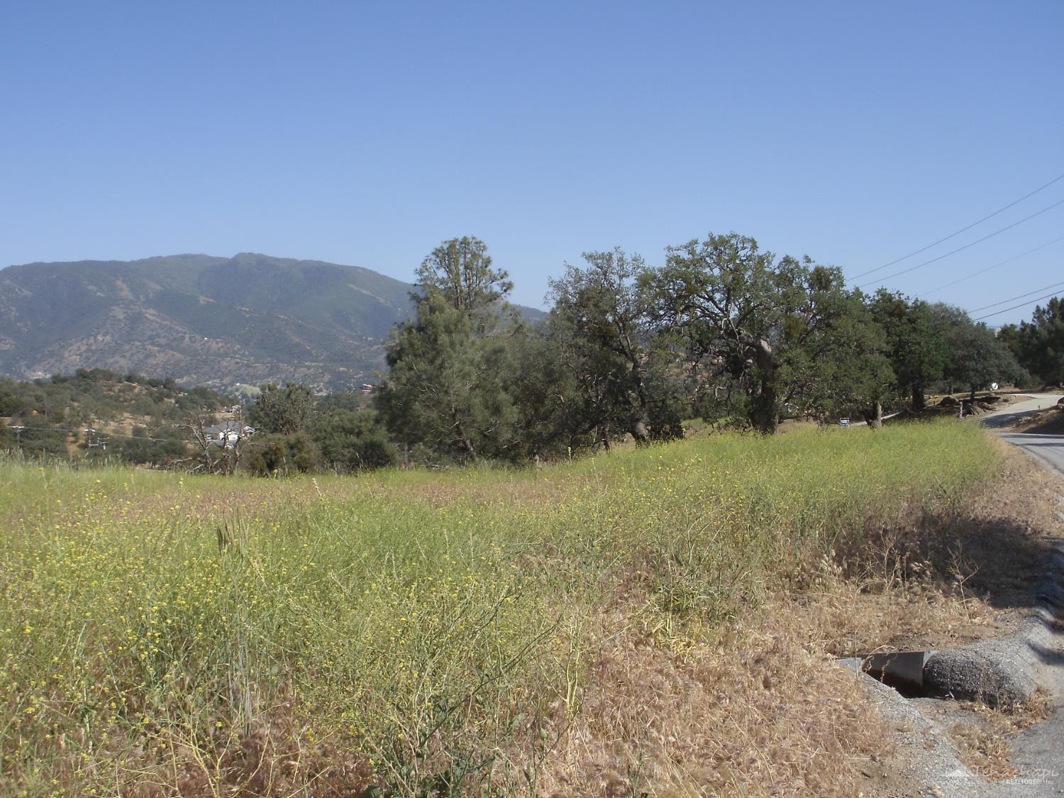 Quail Drive photo 5