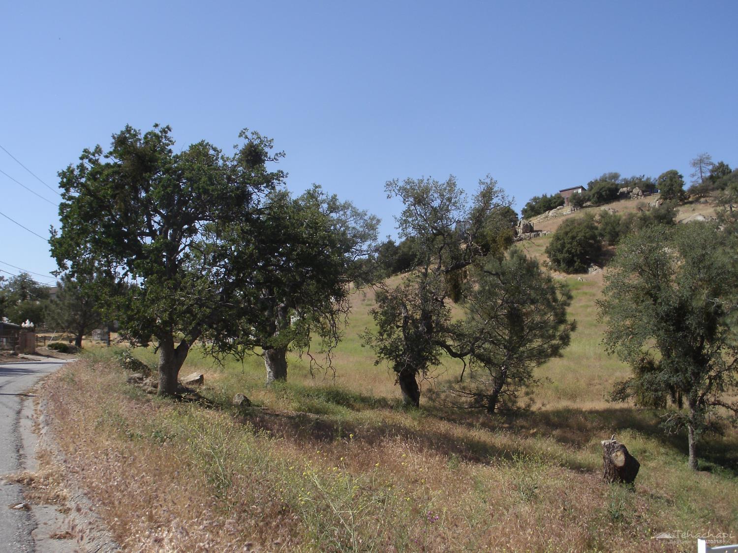 Quail Drive, Stallion Springs