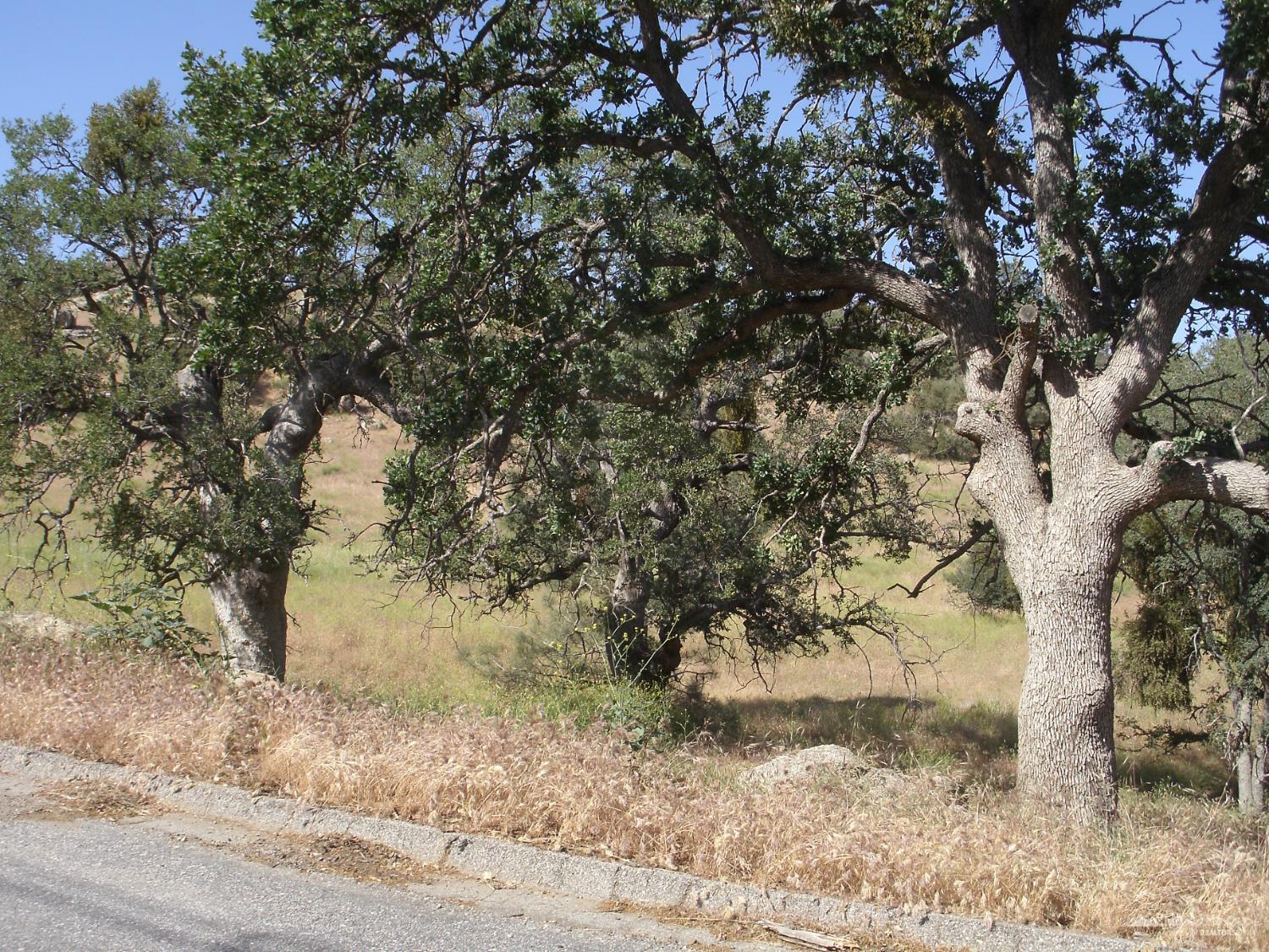 Quail Drive photo 3