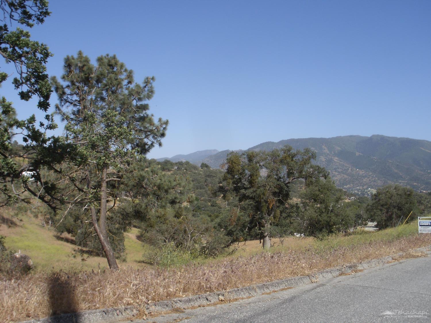Quail Drive photo 4