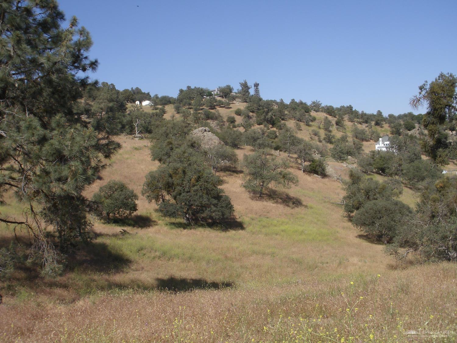 Quail Drive photo 8