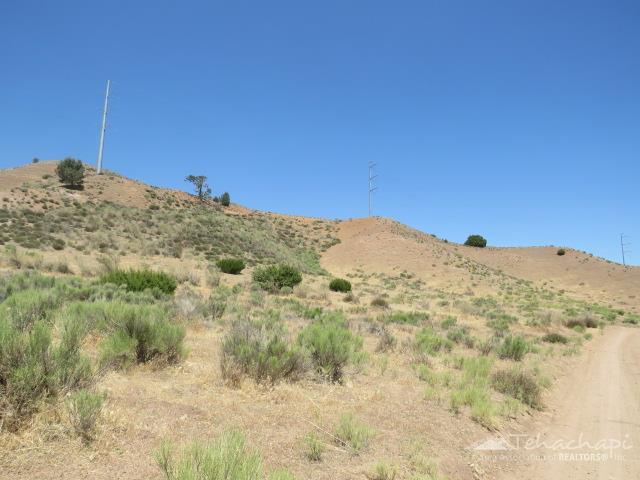 Lower East Gate Road photo 7
