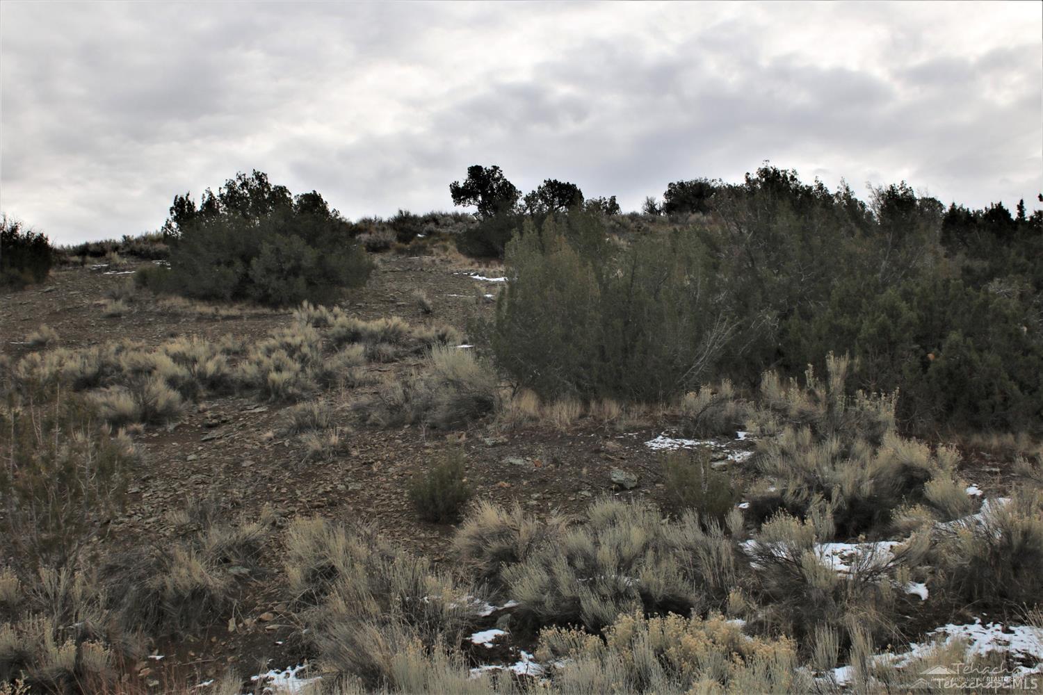 Green Lot 4 Road photo 5